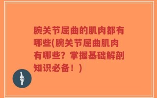 腕关节屈曲的肌肉都有哪些(腕关节屈曲肌肉有哪些？掌握基础解剖知识必备！)