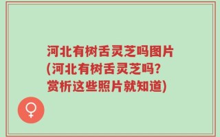 河北有树舌灵芝吗图片(河北有树舌灵芝吗？赏析这些照片就知道)