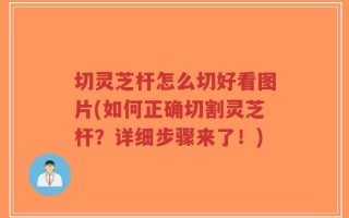 切灵芝杆怎么切好看图片(如何正确切割灵芝杆？详细步骤来了！)