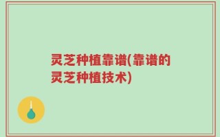 灵芝种植靠谱(靠谱的灵芝种植技术)