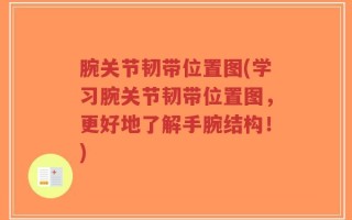 腕关节韧带位置图(学习腕关节韧带位置图，更好地了解手腕结构！)