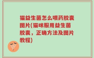 猫益生菌怎么喂药胶囊图片(猫咪服用益生菌胶囊，正确方法及图片教程)