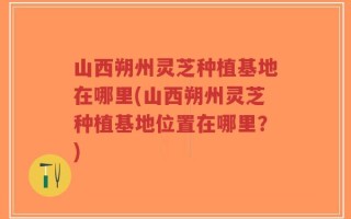 山西朔州灵芝种植基地在哪里(山西朔州灵芝种植基地位置在哪里？)