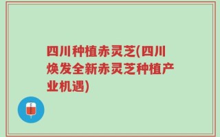 四川种植赤灵芝(四川焕发全新赤灵芝种植产业机遇)
