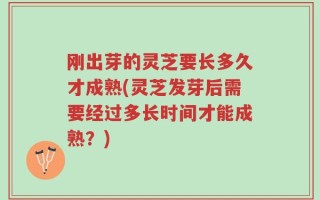 刚出芽的灵芝要长多久才成熟(灵芝发芽后需要经过多长时间才能成熟？)