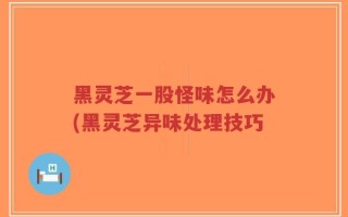 黑灵芝一股怪味怎么办(黑灵芝异味处理技巧