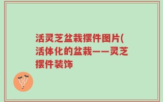 活灵芝盆栽摆件图片(活体化的盆栽——灵芝摆件装饰