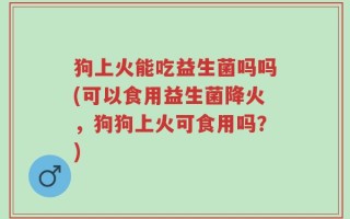 狗上火能吃益生菌吗吗(可以食用益生菌降火，狗狗上火可食用吗？)