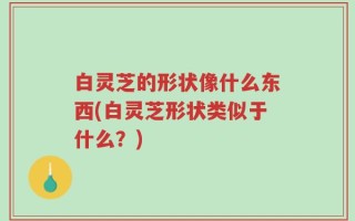 白灵芝的形状像什么东西(白灵芝形状类似于什么？)