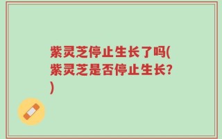 紫灵芝停止生长了吗(紫灵芝是否停止生长？)