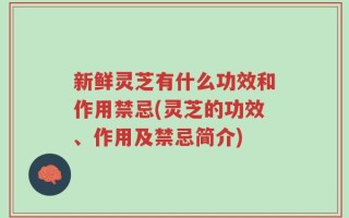 新鲜灵芝有什么功效和作用禁忌(灵芝的功效、作用及禁忌简介)