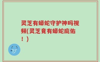 灵芝有蟒蛇守护神吗视频(灵芝竟有蟒蛇庇佑！)