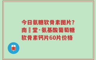 今日氨糖软骨素图片？南雲堂·氨基酸葡萄糖软骨素钙片60片价格