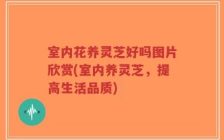 室内花养灵芝好吗图片欣赏(室内养灵芝，提高生活品质)