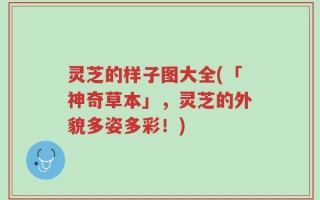 灵芝的样子图大全(「神奇草本」，灵芝的外貌多姿多彩！)