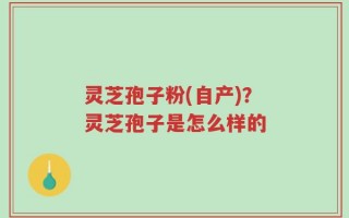 灵芝孢子粉(自产)？灵芝孢子是怎么样的
