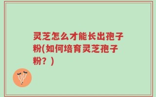 灵芝怎么才能长出孢子粉(如何培育灵芝孢子粉？)
