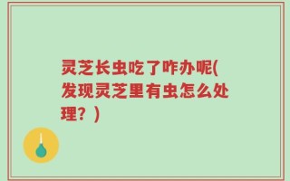 灵芝长虫吃了咋办呢(发现灵芝里有虫怎么处理？)