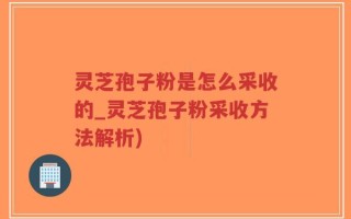 灵芝孢子粉是怎么采收的_灵芝孢子粉采收方法解析)