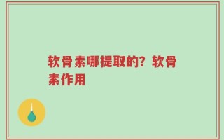 软骨素哪提取的？软骨素作用