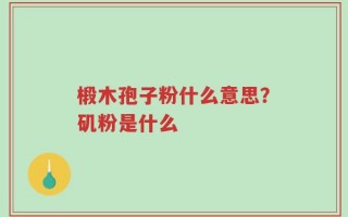 椴木孢子粉什么意思？矶粉是什么