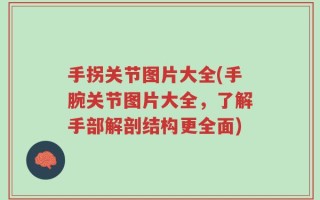 手拐关节图片大全(手腕关节图片大全，了解手部解剖结构更全面)