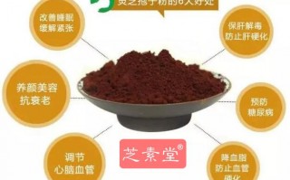 破壁灵芝孢子粉作用功效，效果真的很好吗？
