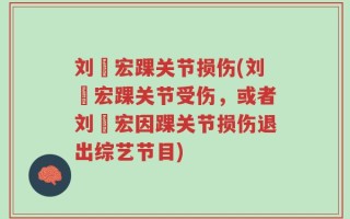 刘畊宏踝关节损伤(刘畊宏踝关节受伤，或者刘畊宏因踝关节损伤退出综艺节目)