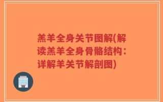 羔羊全身关节图解(解读羔羊全身骨骼结构：详解羊关节解剖图)