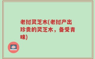 老挝灵芝木(老挝产出珍贵的灵芝木，备受青睐)