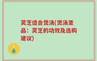 灵芝适合煲汤(煲汤圣品：灵芝的功效及选购建议)