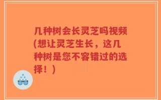 几种树会长灵芝吗视频(想让灵芝生长，这几种树是您不容错过的选择！)