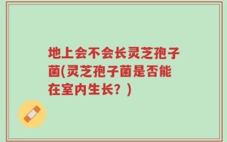 地上会不会长灵芝孢子菌(灵芝孢子菌是否能在室内生长？)