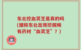 东北挖血灵芝是真的吗(据称东北出现挖掘稀有药材“血灵芝”？)