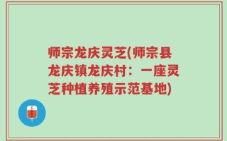 师宗龙庆灵芝(师宗县龙庆镇龙庆村：一座灵芝种植养殖示范基地)