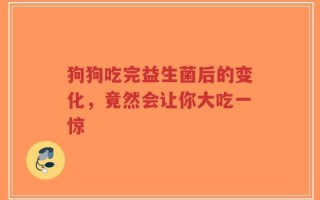 狗狗吃完益生菌后的变化，竟然会让你大吃一惊