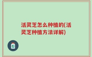 活灵芝怎么种植的(活灵芝种植方法详解)