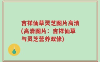 吉祥仙草灵芝图片高清(高清图片：吉祥仙草与灵芝营养双修)