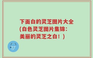 下面白的灵芝图片大全(白色灵芝图片集锦：美丽的灵芝之白！)