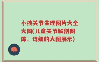 小孩关节生理图片大全大图(儿童关节解剖图库：详细的大图展示)