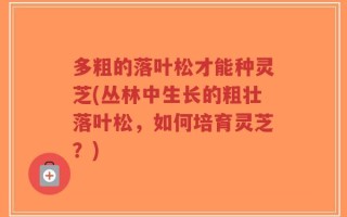 多粗的落叶松才能种灵芝(丛林中生长的粗壮落叶松，如何培育灵芝？)