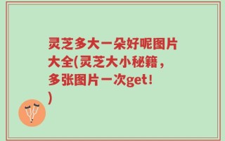 灵芝多大一朵好呢图片大全(灵芝大小秘籍，多张图片一次get！)