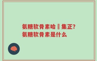 氨糖软骨素哈醫集正？氨糖软骨素是什么