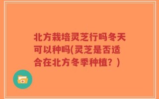 北方栽培灵芝行吗冬天可以种吗(灵芝是否适合在北方冬季种植？)