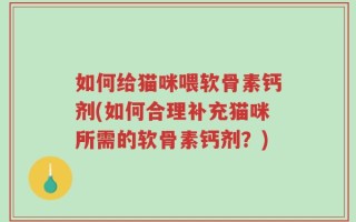 如何给猫咪喂软骨素钙剂(如何合理补充猫咪所需的软骨素钙剂？)