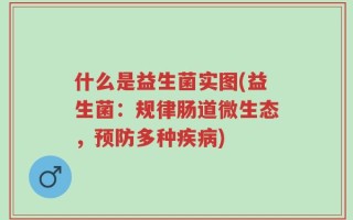 什么是益生菌实图(益生菌：规律肠道微生态，预防多种疾病)