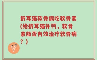 折耳猫软骨病吃软骨素(给折耳猫补钙，软骨素能否有效治疗软骨病？)