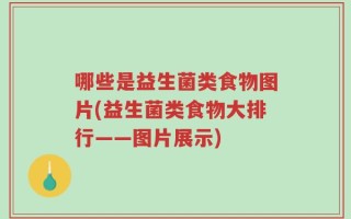 哪些是益生菌类食物图片(益生菌类食物大排行——图片展示)
