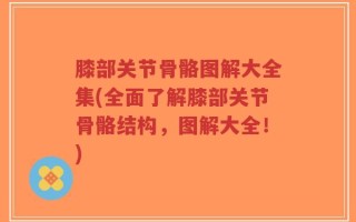 膝部关节骨骼图解大全集(全面了解膝部关节骨骼结构，图解大全！)