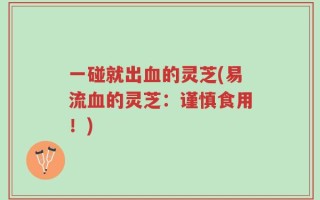 一碰就出血的灵芝(易流血的灵芝：谨慎食用！)